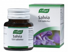 A.Vogel Salvia