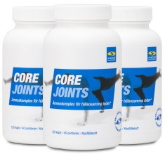 Miniatyrbild Core Joints, 360 kaps