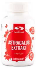 Healthwell Astragalus Extrakt