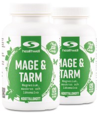 Miniatyrbild Healthwell Mage & Tarm Kapslar, 240 kaps