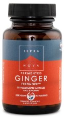 Terranova Fermented Ginger Ferzinger