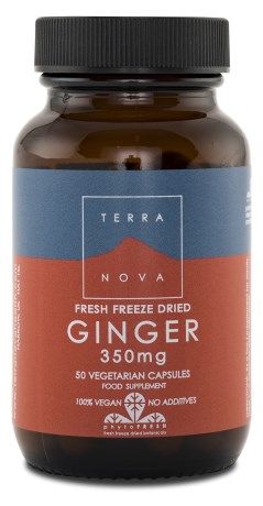 Terranova Ginger 350 mg - Terranova