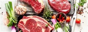 Hur fungerar carnivore-dieten?