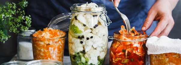 Fermenterad mat