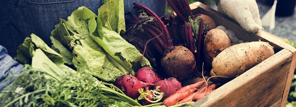 Receptmeny fr en detox