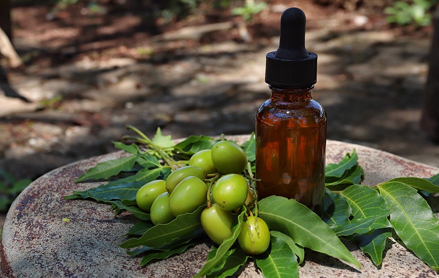 En glasflaskak med pipett bredvid n�tter fr�n Neemtr�det. 