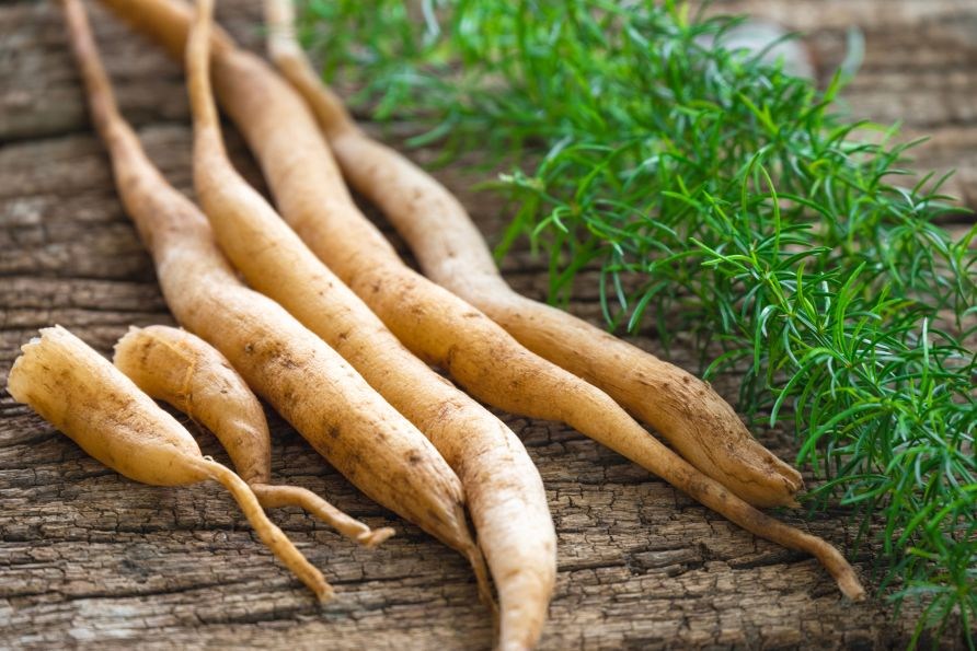 F�rska shatavarir�tter (Asparagus racemosus) tillsammans med gr�na blad p� ett tr�underlag.