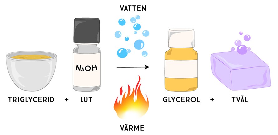 Illustration kring vilka ämnen som ingår i industriell tvål, skål med triglycerid, flaska med lut, vatten och eld, flaska med glycerol, en lila tvål.