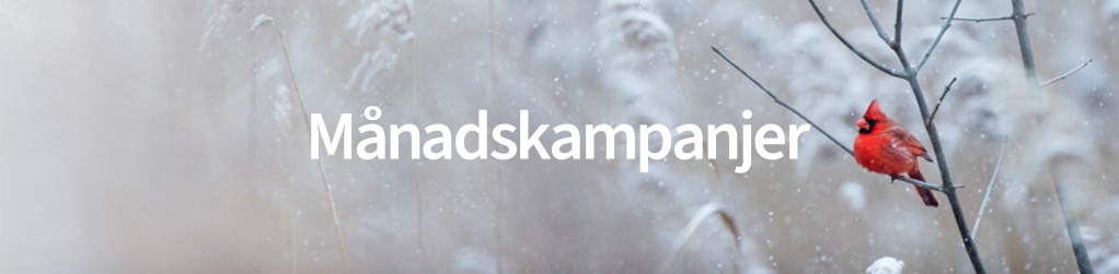 Mnadskampanjer 