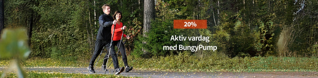 Bungypump 20%