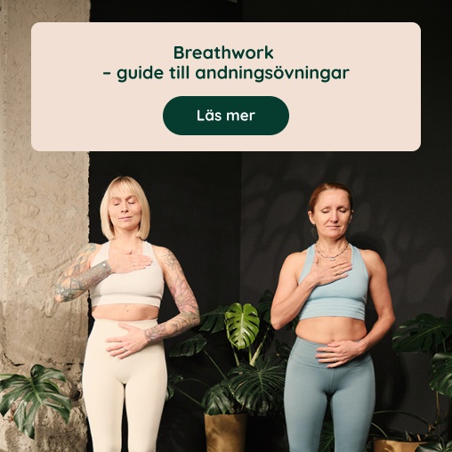 Breathwork - komplett guide till andnings�vningar