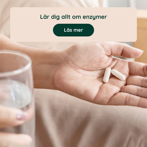 L�r dig allt om enzymer