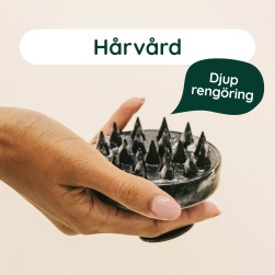 H�rv�rd