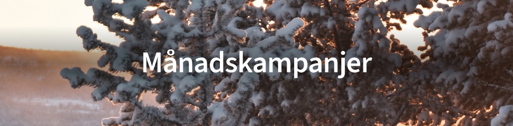 Mnadskampanjer