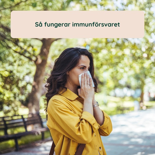 S fungerar immunfrsvaret