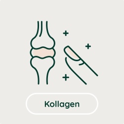Kollagen