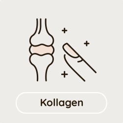 Kollagen