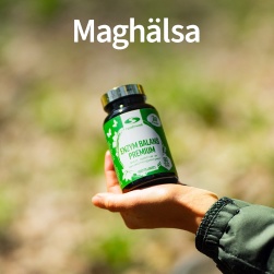 Maghälsa