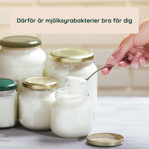 D�rf�r �r mj�lksyrabakterier bra f�r dig