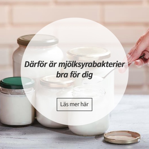 Drfr r mjlksyrabakterier bra fr dig